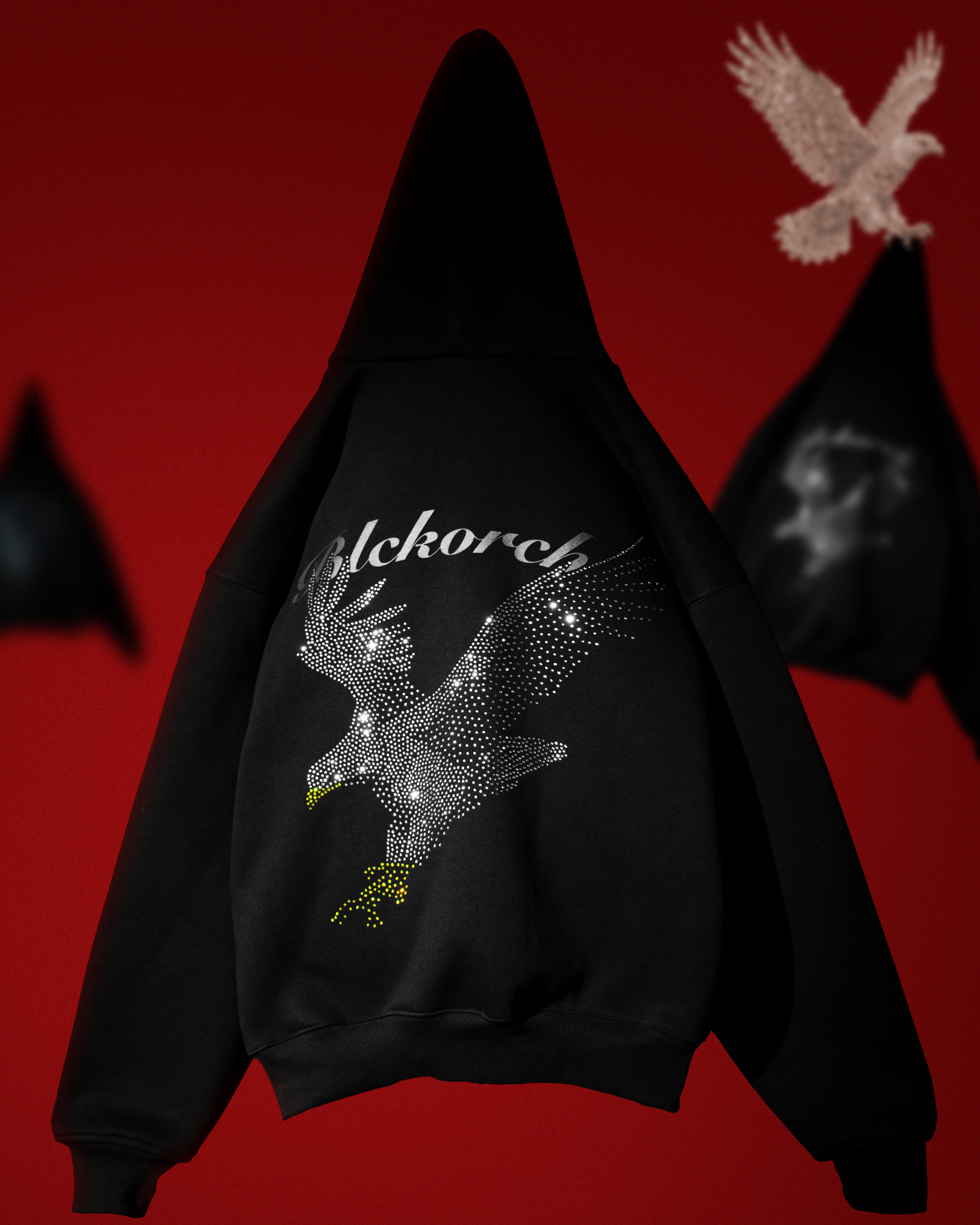 STARLIT EAGLE HOODIE
