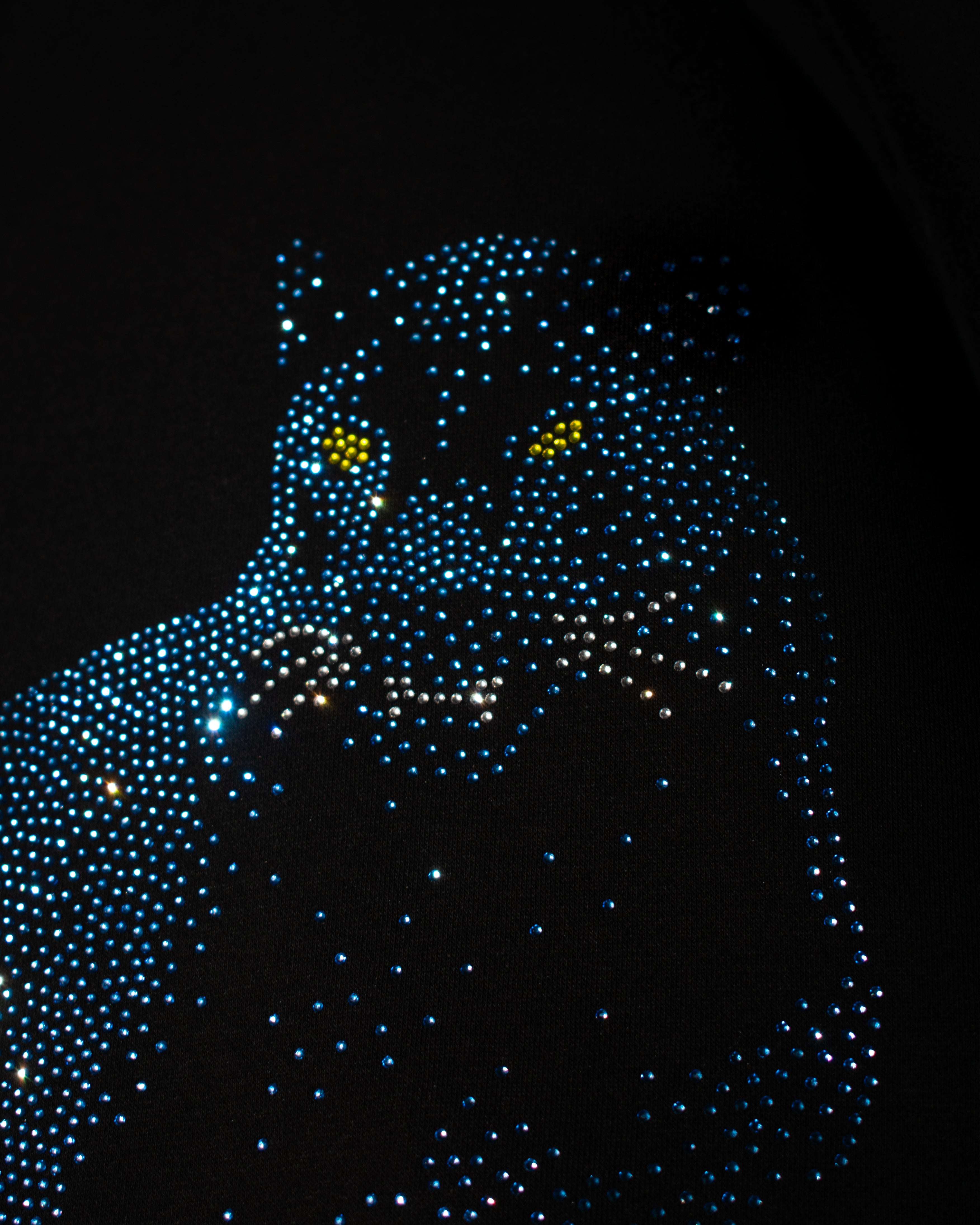 BLCK PANTHER HOODIE