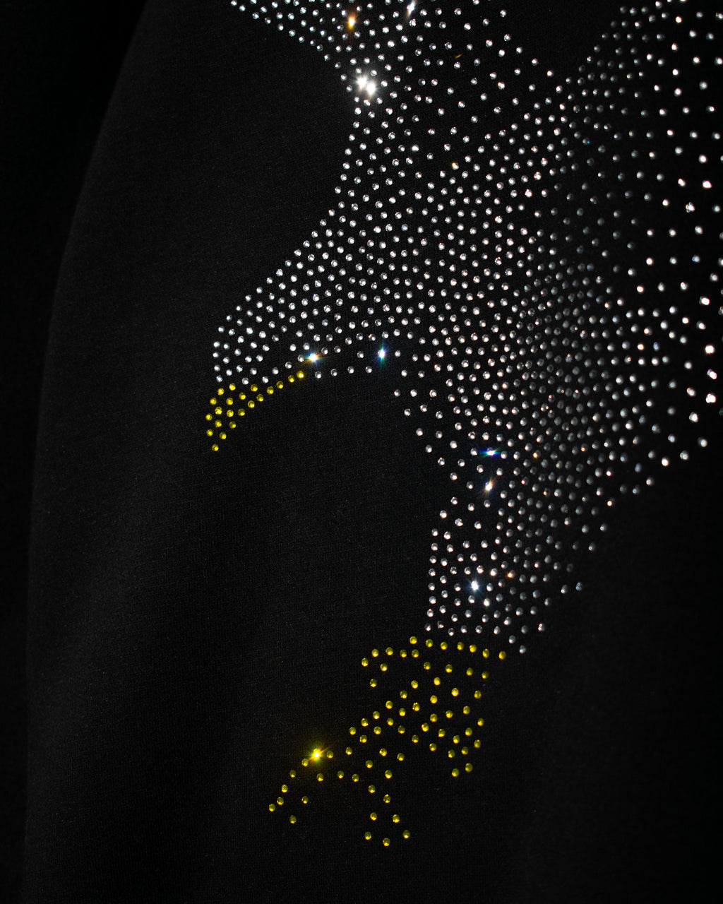 STARLIT EAGLE HOODIE