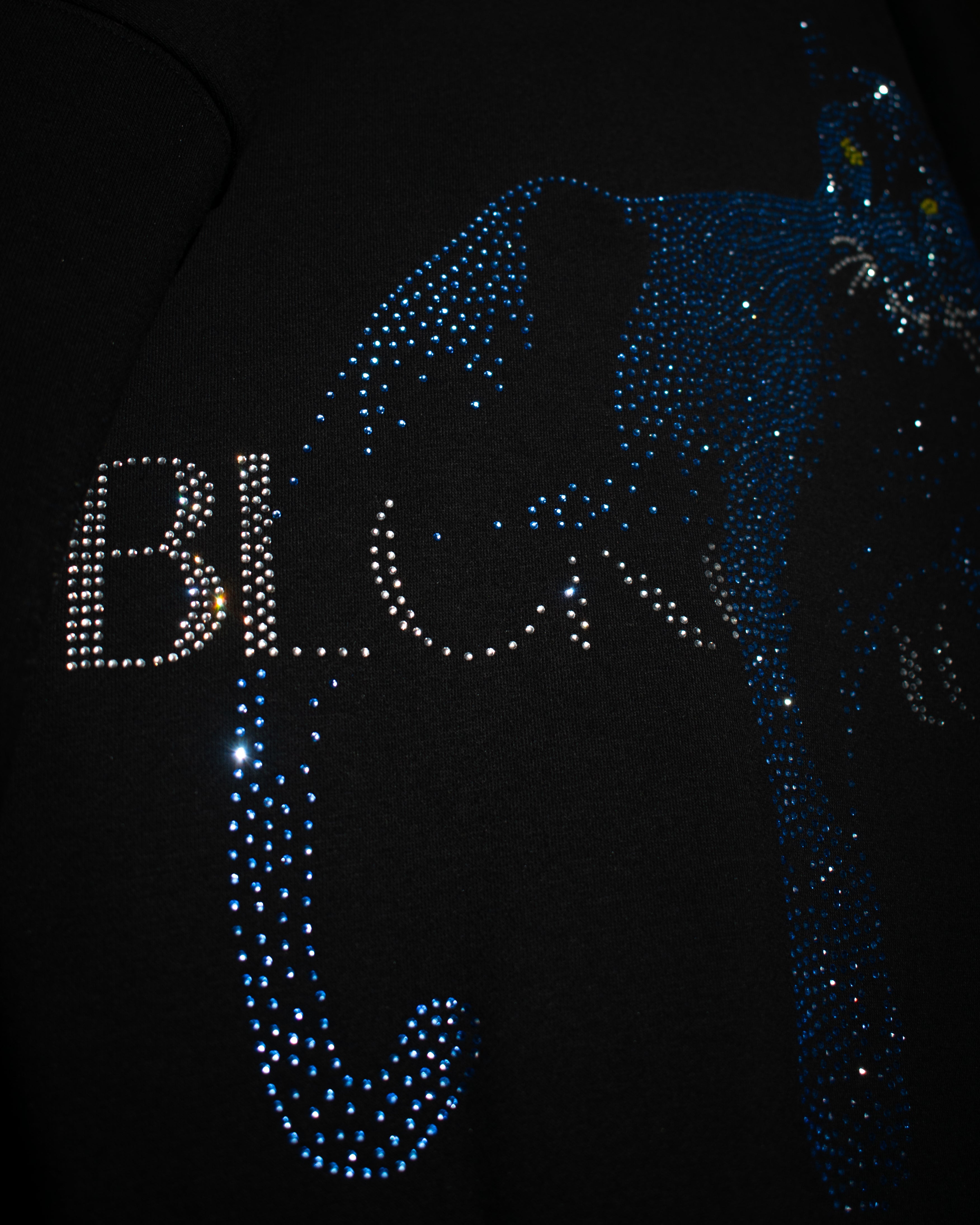 BLCK PANTHER HOODIE