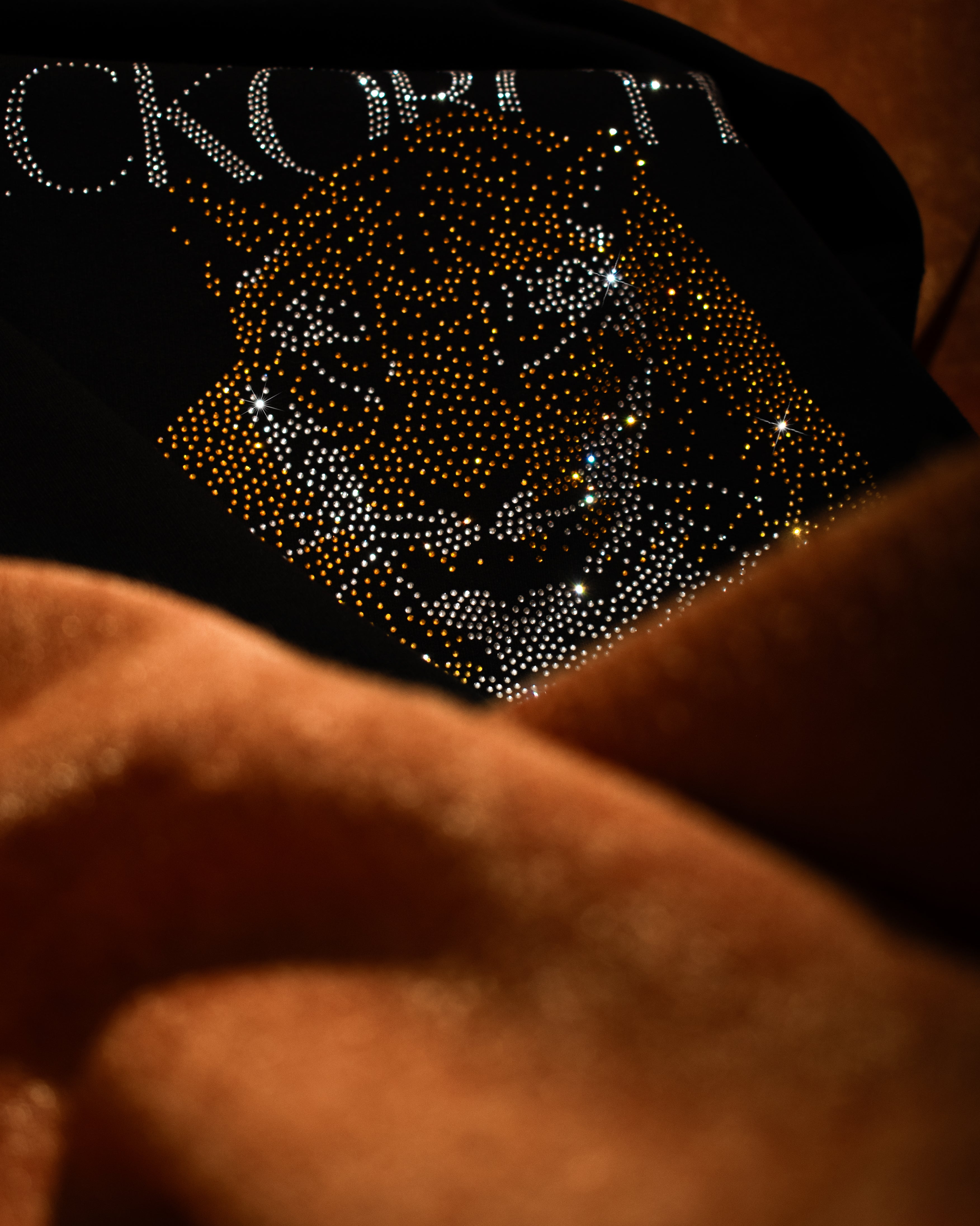 THE FEARLESS T-SHIRT